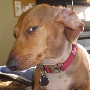 Meet your Posher, Brian